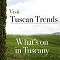 Tuscan Trends Website
